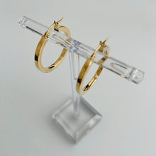 Load image into Gallery viewer, 10K Brylee Hoops