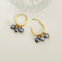 Load image into Gallery viewer, ZZ - Discontinued - Kiana Grey Pearl Hoops
